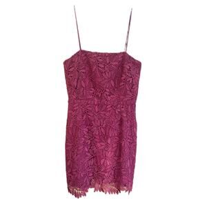 NSR Lace Sheath Dress